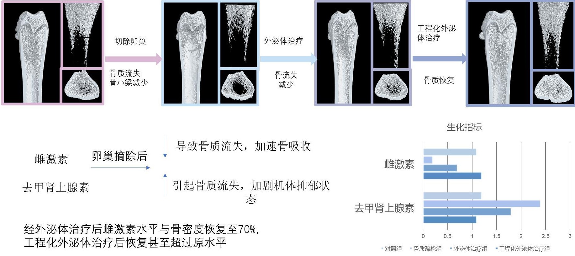 河北中琨生物工程有限责任公司-产品介绍.jpeg