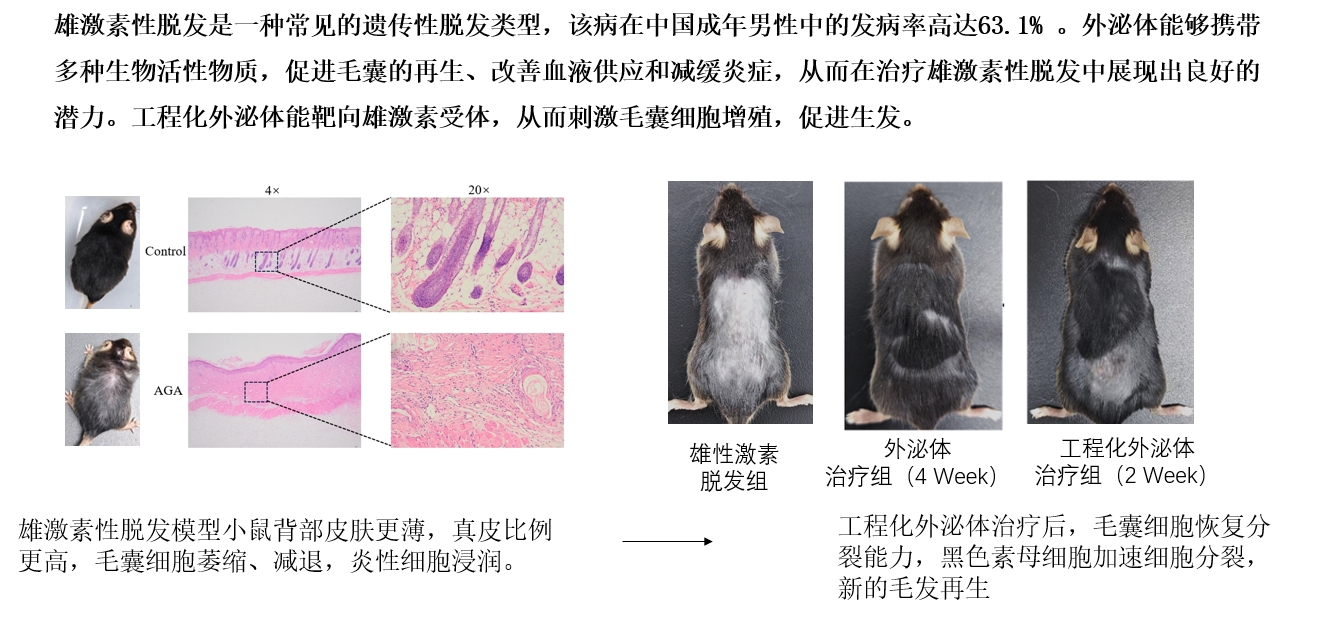 微信截图_20250416144554.png
